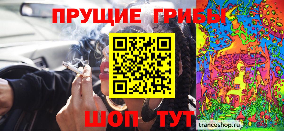 Кудрово  где продают наркотики  Вход с VPN  Галлюциногенные грибы Magic Shrooms 