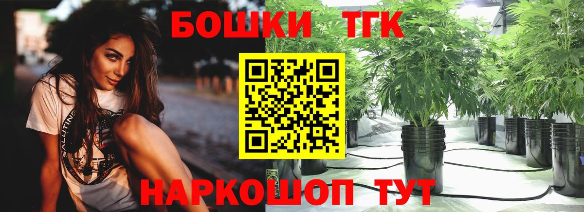 Конопля сатива Кудрово
